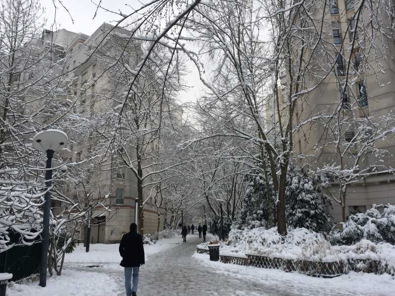 Snowflakes... Snowflakes!