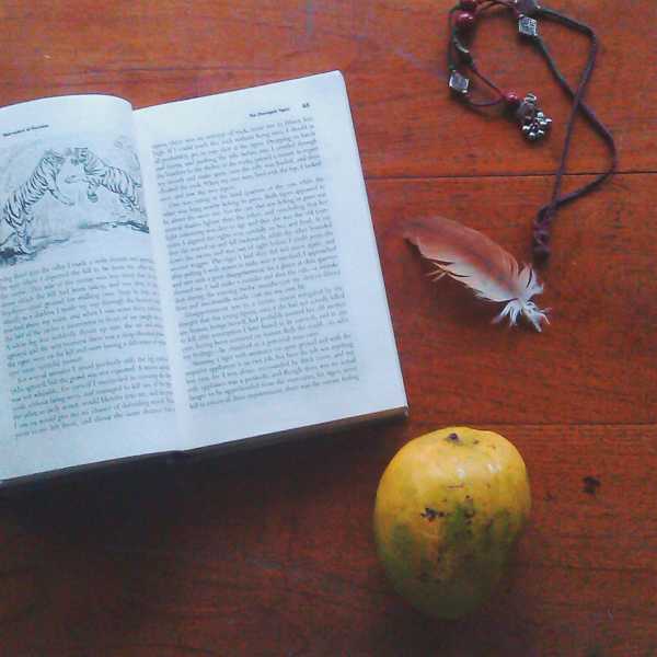 So Long And Thanks For The Mangoes