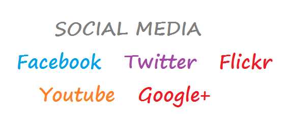 Social Media And Life