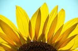 Society Stigmas and Mental Health ~ Virtual Siyahi