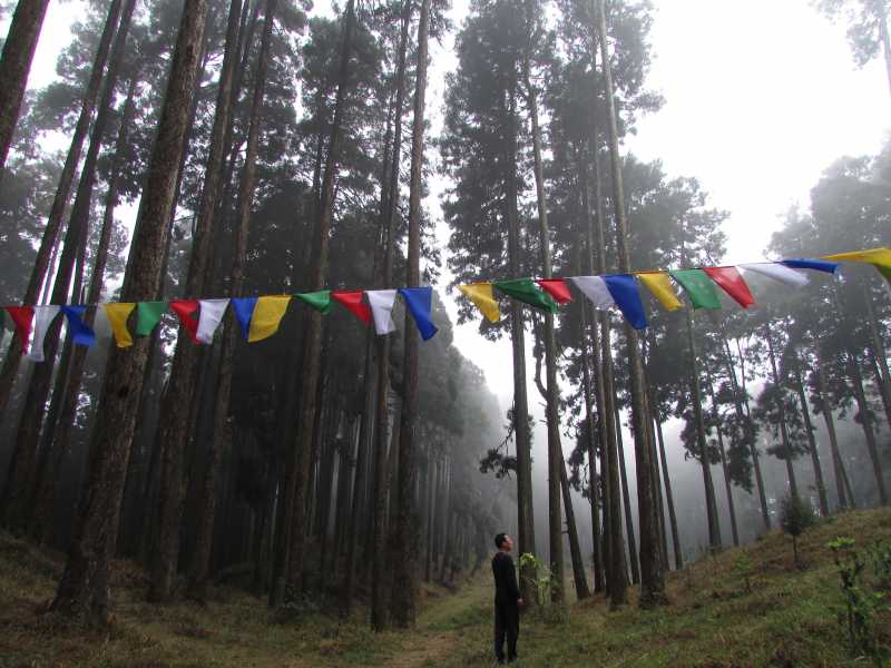 Solo-tripping Across Sikkim!