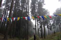 Solo-tripping across Sikkim!