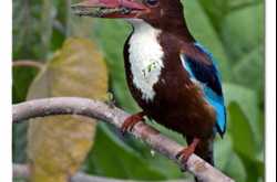 Some Beautiful Images