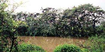 Some Of The Pictures Of The National Park