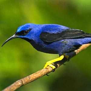 Some Of The Pictures Of The Park