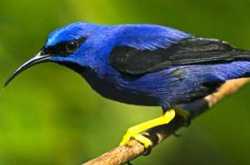 Some Of The Pictures Of The Park