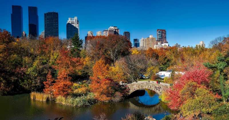 Some Points To Consider For Planning Green Open Spaces In India