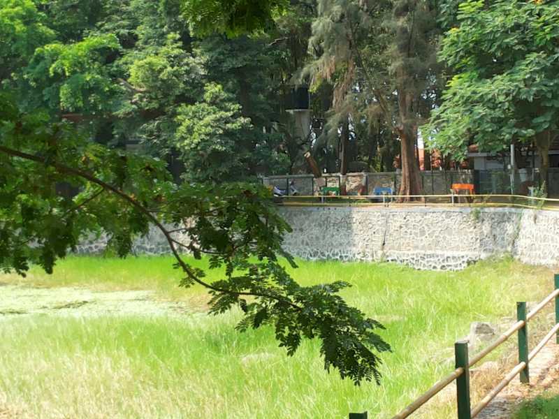 Some Of The New Pics ....