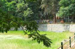 Some of the new pics ....