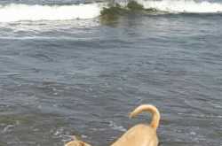 Somebody asks me, \"What have you learnt in life so far?\"