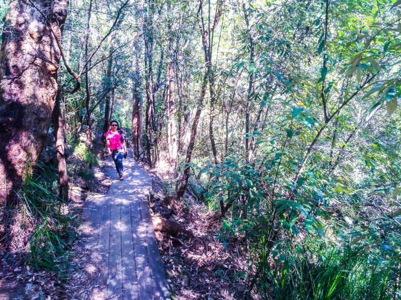 Somersby Falls Walking Track, Australia