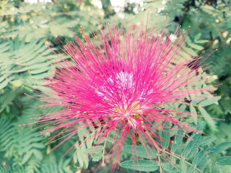 Sometimes It Is Just About Being In The Moment