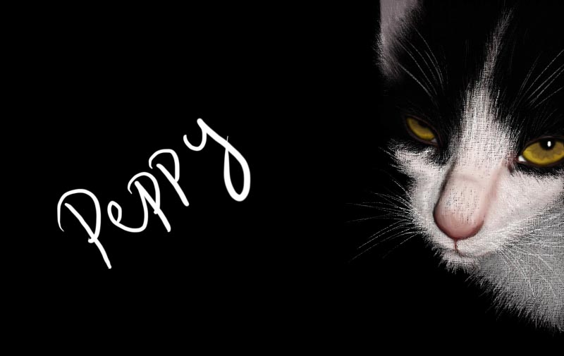 Somewhere Over The Rainbow - A Poem By Peppered With Stories