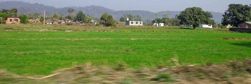 Somewhere In Corbett, With A Cup Of 