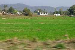 Somewhere in Corbett, with a cup of \