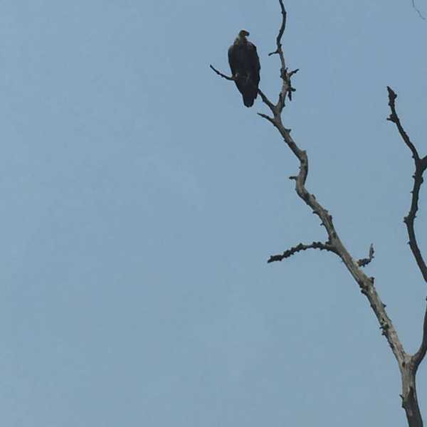 Soul Enriching Experience With A Plan Less Travel