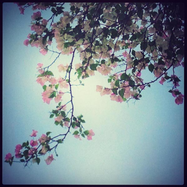 Soulful Celebration: Dedicated To My Dear Friend, Amrit Barman. Rest In Peace.