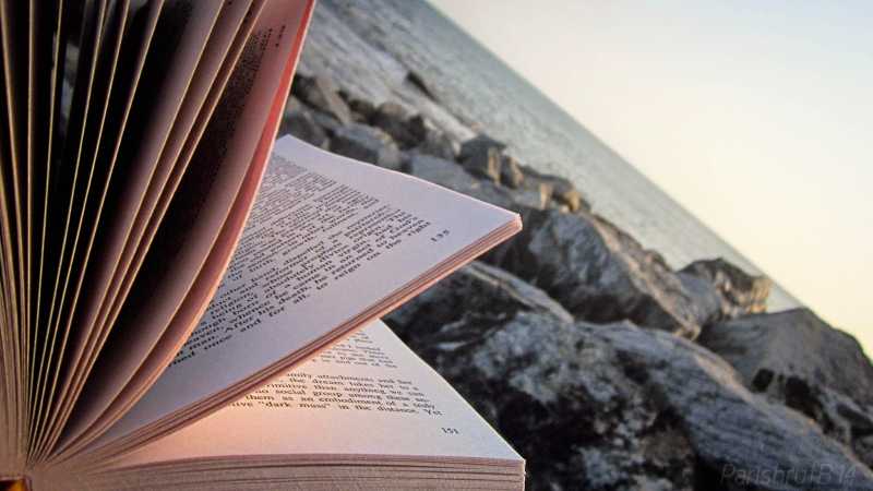 South India Flavor And Automotive Jazz