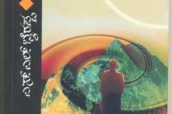 South Social Stage: Naayi Neralu (Kannada Novel) by S.L.Bhyrappa