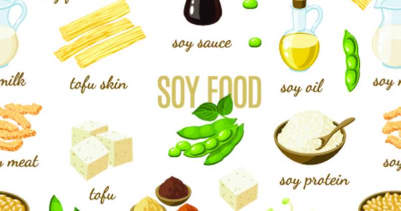 Soy Protein - A Environment-Friendly And Health-Friendly Food - WigglingPen