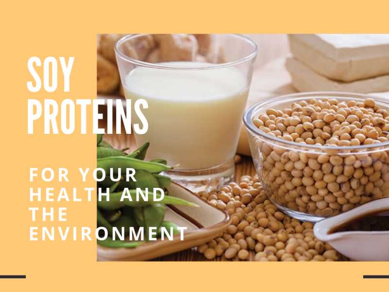 Soy Proteins: For Your Health And The Environment - Munni Of All Trades