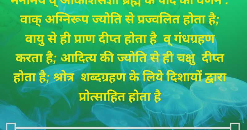 Speech - A Holy Gift To Humans From God