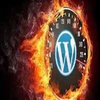 Speed Up WordPress Site With Just 3 Plugins [100% Guaranteed ] - SEO And Money Making Opportunities
