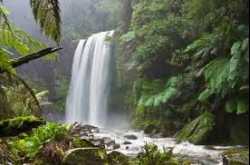 Spend Some Sacred Moments in Nature