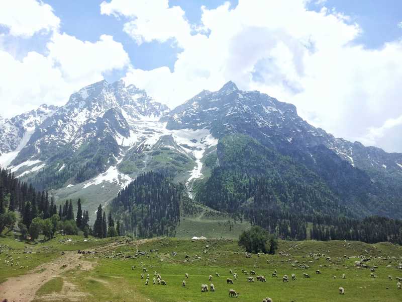 Spending Time In Srinagar