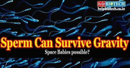 Sperm Can Survive Gravity !