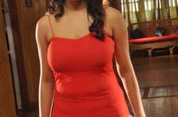 Spicy actress bhavani reddy hot stills collection 