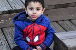 Spiderman Lofthouse Cookies