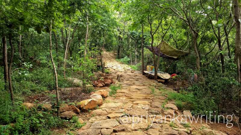 Spiritual Getaways & Ashrams Near Bangalore | Maproute Travel Blog