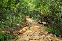 Spiritual Getaways & Ashrams Near Bangalore | Maproute Travel Blog