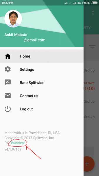 Splitwise Easter Egg - Lots Of Bunnies!