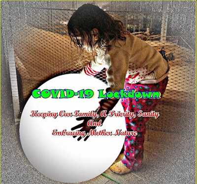 Sponsored Articles: COVID 19- Keeping Our Family, A Priority, Sanity And Embracing Mother Nature