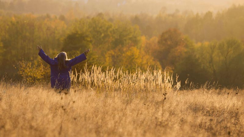 Spoor [2017] - Murder, Mistreatment And Marginalization In A Gorgeous Small Town