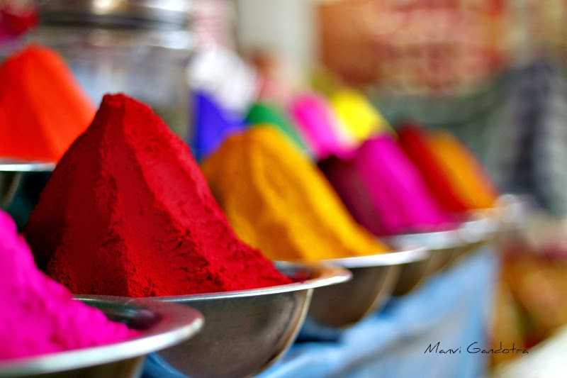 Spring Collection - Holi Essentials 