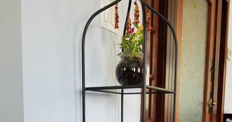 Spring Is New Beginnings... They Say