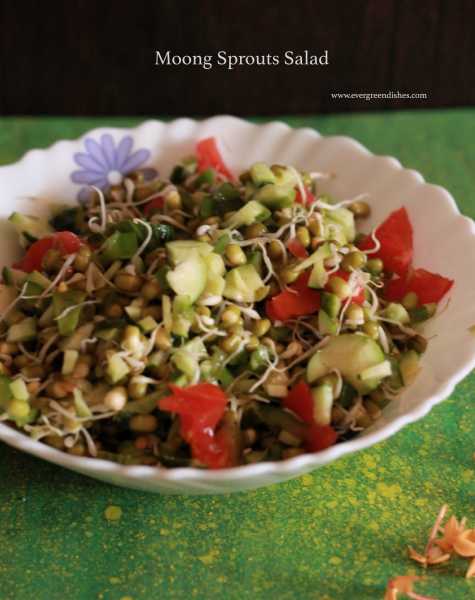 Sprouted Moong Salad - Ever Green Dishes