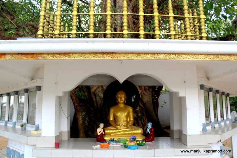 Sri Lanka, Be Strong And Safe! We Love You.