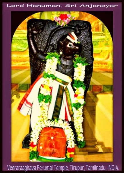 Sri Veera Anjaneyar, Veeraraghava Perumal Temple, Tirupur