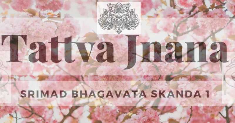 Srimad Bhagavatam Skanda 1- The Fame Of Lord Purusha 