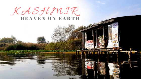 Srinagar, Shikara And Kehwa - Lonely Canopy Art & Travel