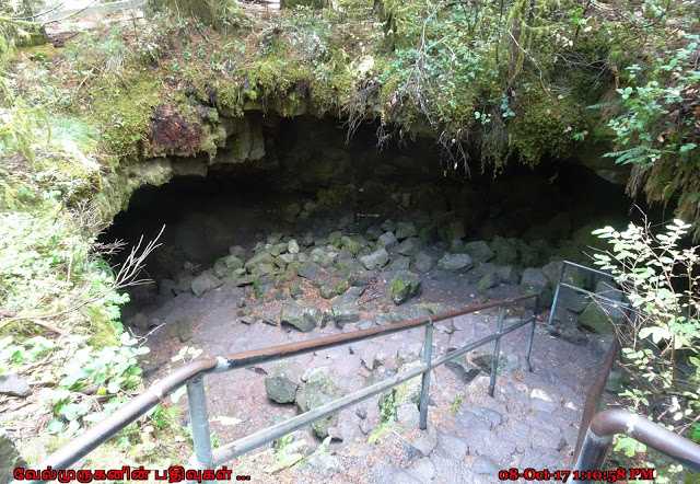 St. Helens Ape Cave Hike