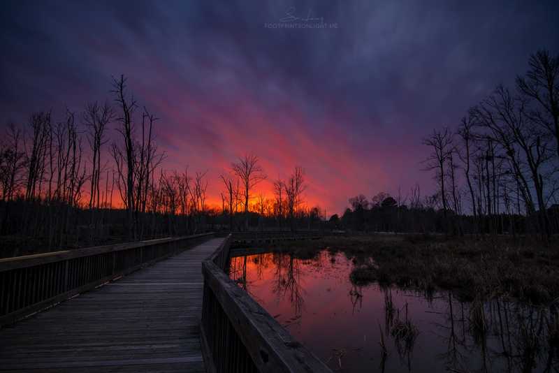 Stalking Sunsets & The Art Of Burn - A Photo-feature [The Green Ogre]