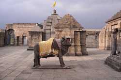 Standing Nandi