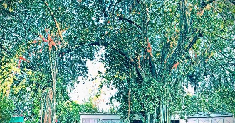 Standing Tall And Strong 