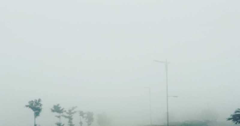 Starlight, So Bright