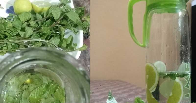 Start Healthy With Morning Detox 